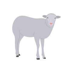 Sheep Flat Icon, Vector illustration