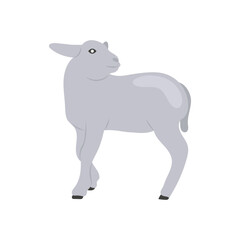 Lamb Flat Icon, Vector illustration