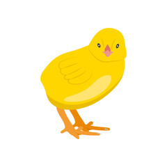 Chick Flat Icon, Vector illustration