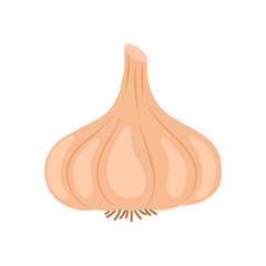 Garlic Flat Icon, Vector illustration