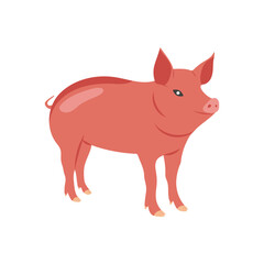 Pig Flat Icon, Vector illustration