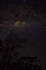 Long exposure photograph of a beautiful night sky captured in the countryside of Minas Gerais, Brazil.
You can see stars, planets, constellations, the Milky Way and satellites too.
