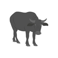 Buffalo Flat Icon, Vector illustration