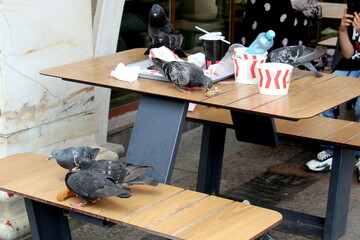 Garlands are hung on Moskovskaya Street.