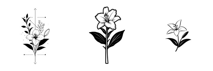 Lily flowers rendered in modern black contours against a white background