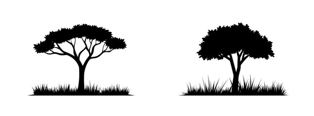 Fototapeta premium A silhouette of trees against a background of a park or grassy field