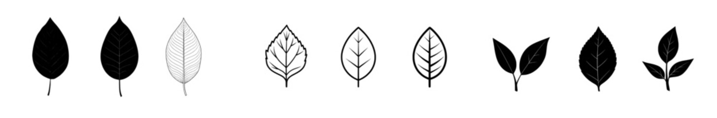 Modern illustration of an ash tree leaf shown as a simple outline and silhouette in line art