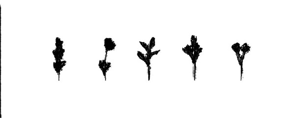 Botanical trendy greenery for an invitation save-the-date card