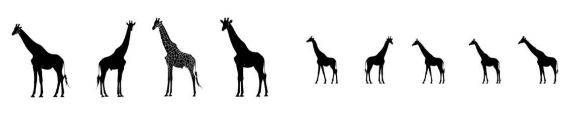 Isolated modern giraffe silhouettes against a white background