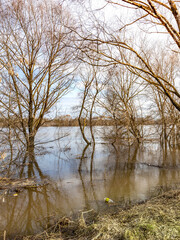 Body of water with trees in the background