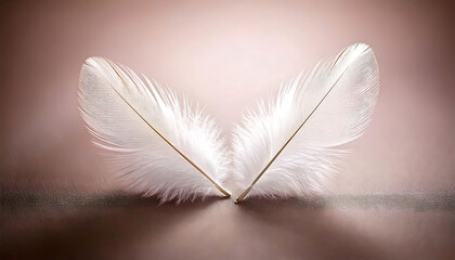 Two delicate white feathers rest gently on a soft, blush-toned background.  The image evokes feelings of lightness, peace, and purity.