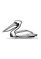 A Line Art pelican with an extended beak, floating on water. 
