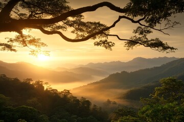 Fototapeta premium Sunrise over lush mountain landscape with mist and golden light in the early morning hours