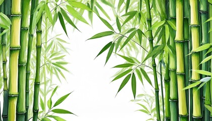 bamboo in watercolor style on a white background for design layouts