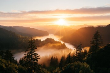Warm sunrise illuminates misty river valley and evergreen trees in a tranquil natural setting