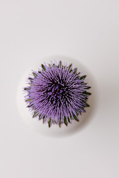 Artichoke in full bloom with purple flower in a white vase, seen from above.