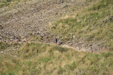 Runners Conquering Rugged Trails Under the Sun