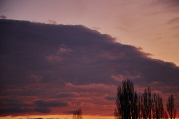 Silhouettes of trees against a purple sunset sky. A fiery sky from a crimson sunset. Cirrus clouds...