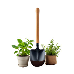 Eco-friendly urban gardening tool