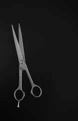 Grooming scissors with curved shear on black background. Grooming concept.