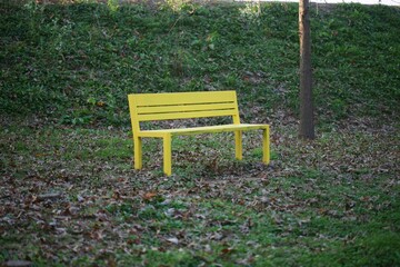 외로운 노랑의자 하나