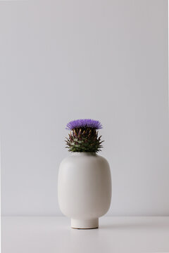 Artichoke in full bloom with purple flower in a white vase.