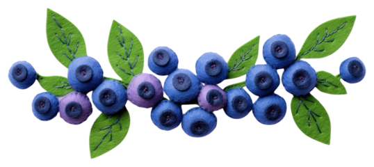PNG Blueberry fruit plant food.