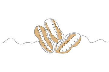 Continuous single-line art drawing of peanuts. Peanut food outline vector isolated on white background