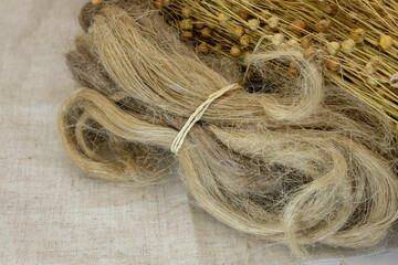 Flax fiber, flax plant pods, and linen canvas. Sustainable alternative to synthetic fibers. Copy...