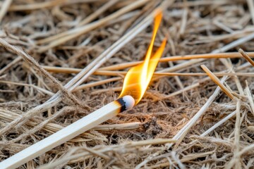 Burning matchstick igniting on dry hay, creating a small flame on the ground.