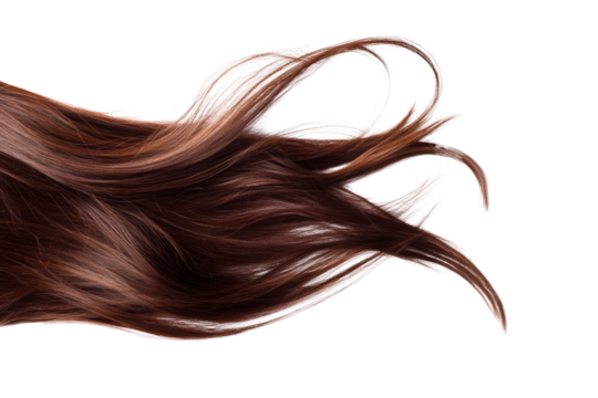 Brown hair isolated on transparent or white background, png