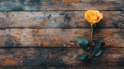 A single yellow rose lying on rustic wooden planks, surrounded by gentle light, leaving space for copy.