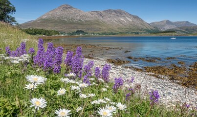 Obraz premium Scottish loch shore with wildflowers, mountains, and sailboat