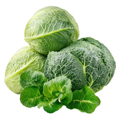 Fototapeta premium A green cabbage