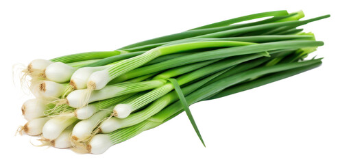 Obraz premium PNG Fresh spring onions vegetable plant food.