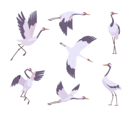 Fototapete Crane birds. Wildlife flying beauty stork in action elegant poses exact vector cartoon collection © ONYXprj