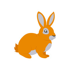 Rabbit Zodiac,  China Symbols Vector Illustration