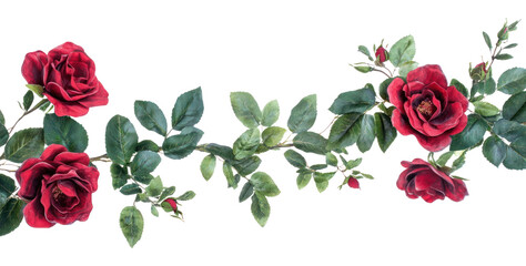 PNG Red rose arrangement roses leaves green.