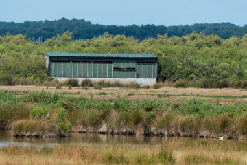Réserve ornithologique, Le Teich, Bassin d'Arcachon, Landes de Gascogne, 33, Gironde