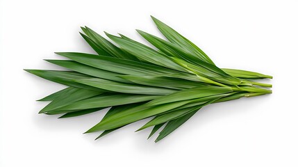 Fototapeta premium Vibrant Pandan Leaves Isolated on White Background AI Generated