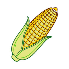 Fresh Corn on the Cob Illustration, A colorful vector illustration of a fresh ear of corn with yellow kernels and green husk, perfect for harvest themes.
