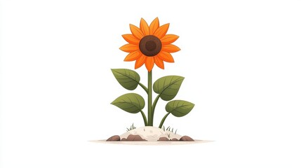 Obraz premium Bright and Cheerful Cartoon Sunflower with Green Leaves and Earthy Soil on White Background