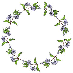 Hand Drawn Colorful Round Frame With Blue Flowering Branch