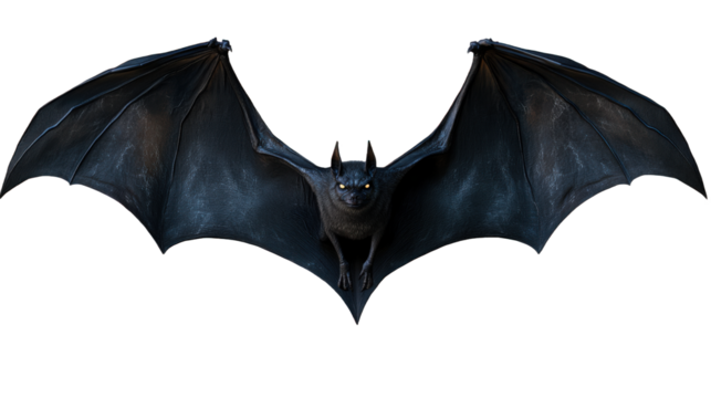 A close-up photo of a dancing bat