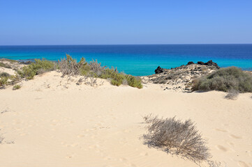 Sun and blue sky at the endless white desert sand beach by the dunes of Corralejo National Park, Fuerteventura Atlantic shore, Canary Islands, Spain