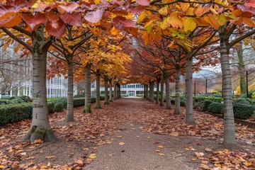 Naklejka premium A serene pathway lined with trees adorned in vibrant autumn leaves, creating a beautiful natural tunnel.
