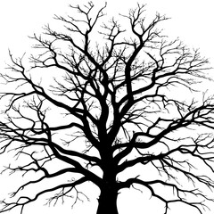silhouette of a tree