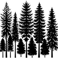 Obraz premium silhouettes of trees