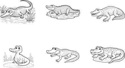Alligator black vector bundle on white background , Alligator vector  animals vector bundle Ai generated 
