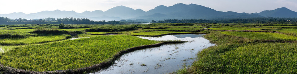 Obraz premium Rice Paddies and Water Channels with Mountain Range Background